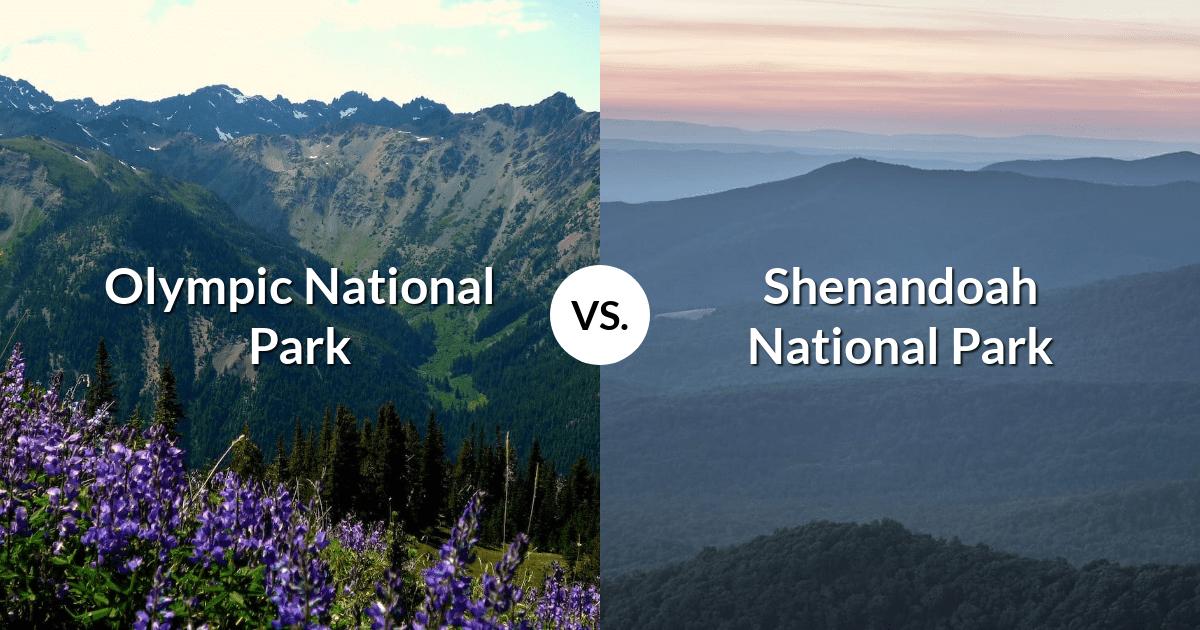 Olympic National Park vs Shenandoah National Park