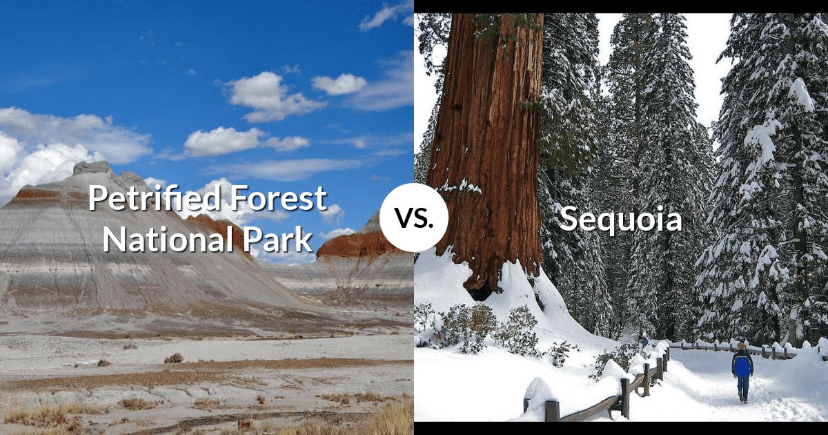 Petrified Forest National Park vs Sequoia & Kings Canyon National Parks