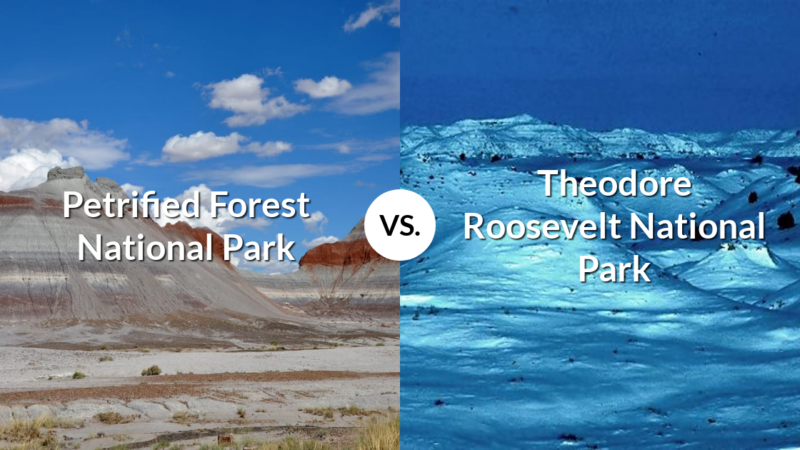 Petrified Forest National Park vs Theodore Roosevelt National Park