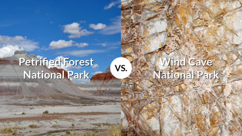 Petrified Forest National Park vs Wind Cave National Park