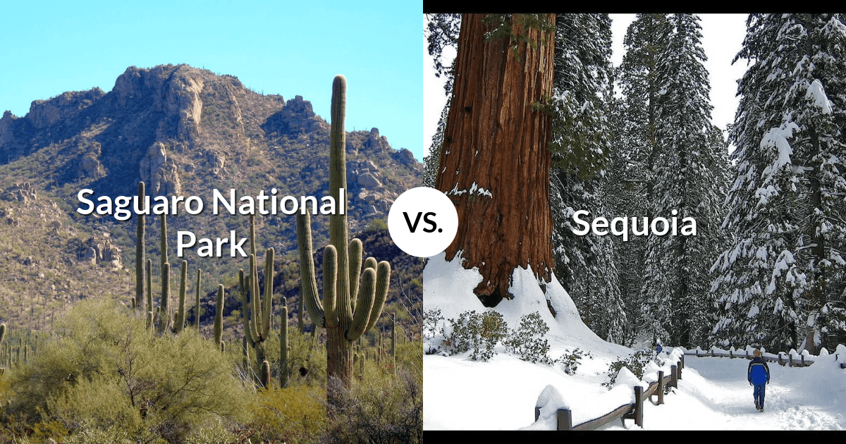 Saguaro National Park vs Sequoia & Kings Canyon National Parks
