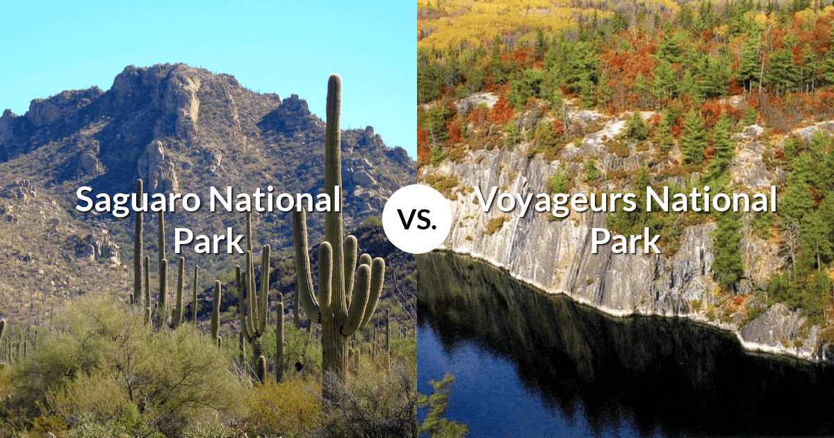 Saguaro National Park vs Voyageurs National Park