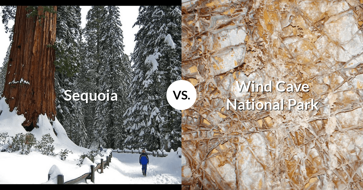 Sequoia & Kings Canyon National Parks vs Wind Cave National Park