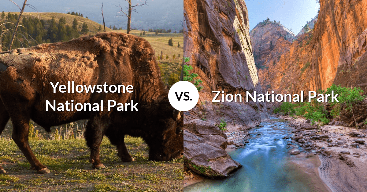 Yellowstone National Park vs Zion National Park